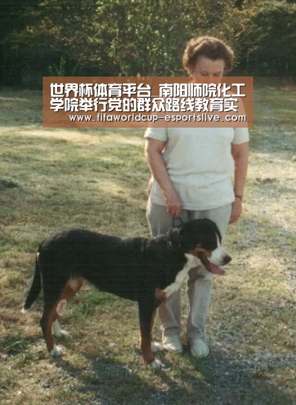 世界杯体育平台_南阳师院化工学院举行党的群众路线教育实践活动动员大会(图4) 世界杯高清直播