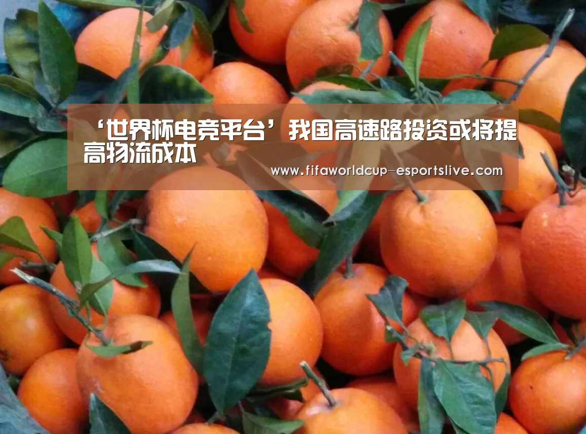 ‘世界杯电竞平台’我国高速路投资或将提高物流成本(图2) 世界杯实时比分